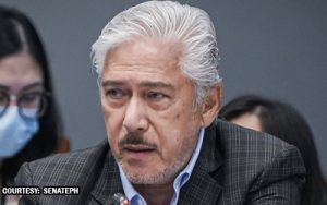 Close-up of a middle-aged man with white hair in a dark checkered blazer speaking into a microphone at a formal hearing.